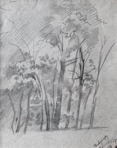 Liget von Laszlo Mednyanszky